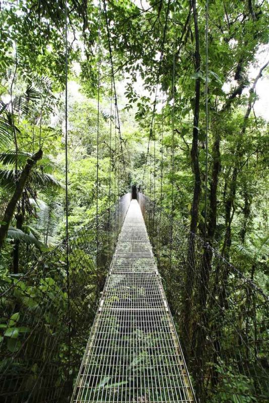 Arenal Hanging Bridges Costa Rica.jpg
